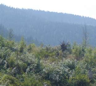 Parcul Natural Apuseni