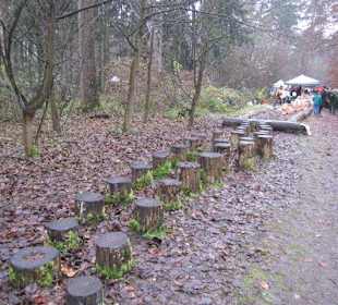 Waldbasar in Dudenhofen