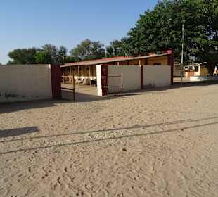 Auf dem Gelände der Kamelfarm