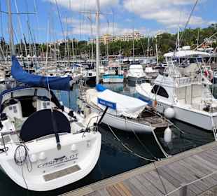 Im Yachthafen von Funchal