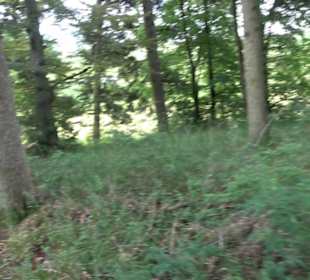 Premiumwanderweg "hochgehackert"