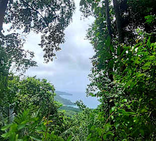 Parque Natural Obô do Príncipe