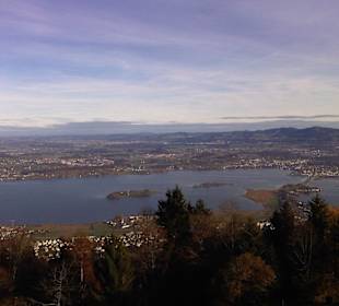 Blick auf die Ufenau und Lützelau