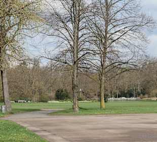 Spaziergang durch den Schlosspark von Karlsruhe