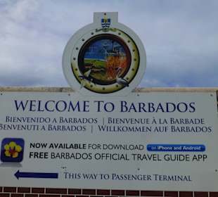 Begrüßung im Hafen