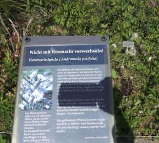 Botanischer Garten der Universität Zürich