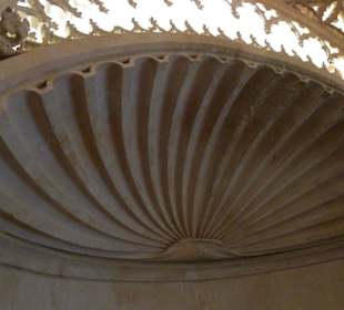 Die Jacobsmuschel herausgearbeitet