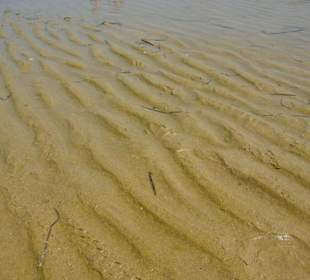 Strand von Bibione 06-2010