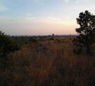 Krüger Nationalpark