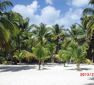 Strand Saona
