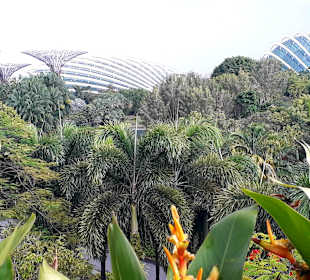 Gardens by the Bay