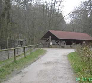 Blickrichtung zur Wildfütterung