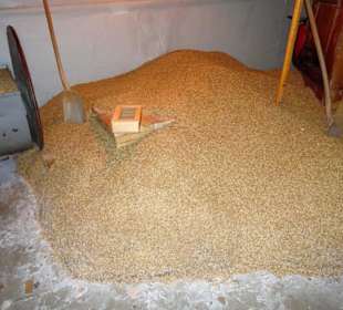 Malzberge in der Stiegl Brauwelt