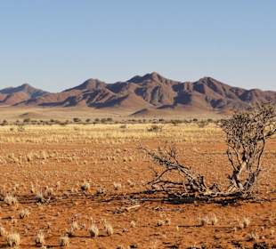 Abendstimmung NamibRand