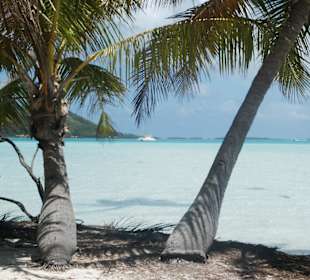 Lagune Bora Bora