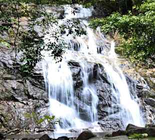 Besuch beim Chong Fah Wasserfall