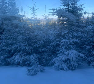 Wandern Oberwiesenthal