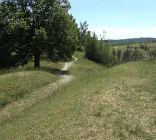 Burg Kräheneck Reusten