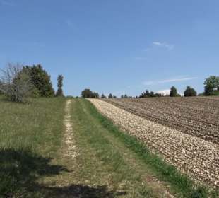 Premiumwanderweg Hochgehschätzt