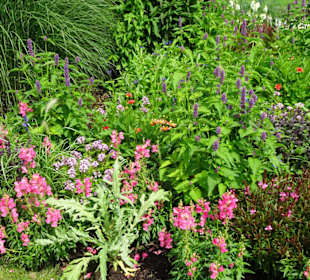 Rundgang durch den Park der Gärten