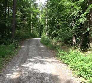 Wanderweg - Alter Steinbruch Pfaffenberg Runde