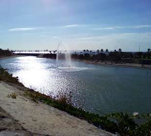 Parc de la Mar in Palma de Mallorca