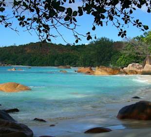 Anse Lazio
