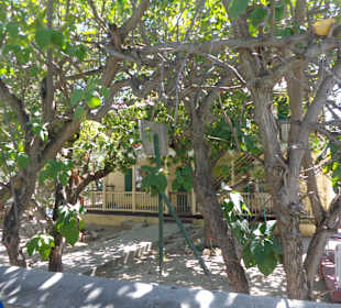 Eindrücke während der Fahrt