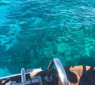 Delfin Tour Makadi Bay