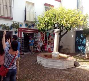 Calleja de las Flores