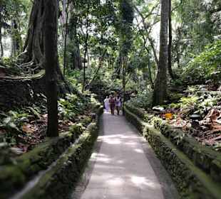 Monkey Forrest in Ubud