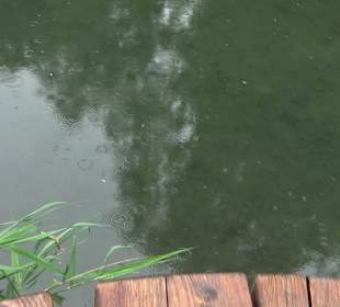 Fischlehrpfad Neu-Ulm