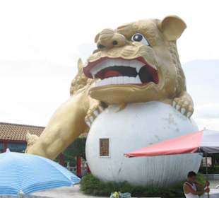 Ein Wachhund vor dem Tempel