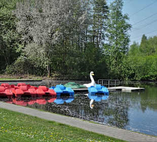 Tretboot-Verleih am Ottermeer