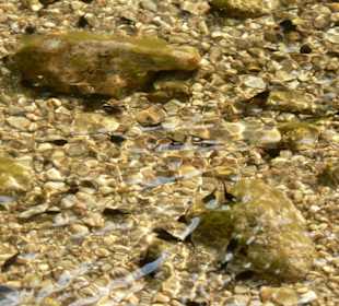 Bachlauf im Hinterland