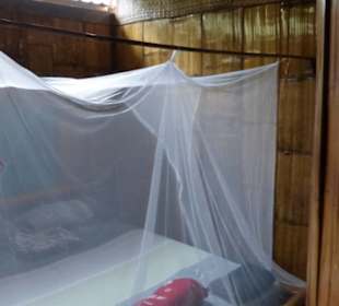 Moskitoschutz ist sinnvoll