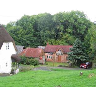 Schöner Blick