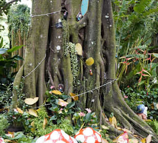 Botanic Garden Singapore