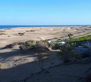 Dünen von Maspalomas	