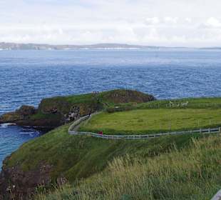 Carrick a Rope Bridge