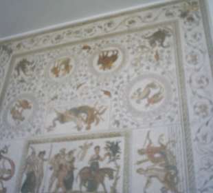 Mann das muss gesehen haben