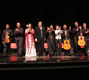 Opera y Flamenco! 