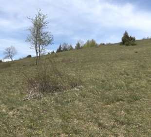 Naturreservat Beutenlay