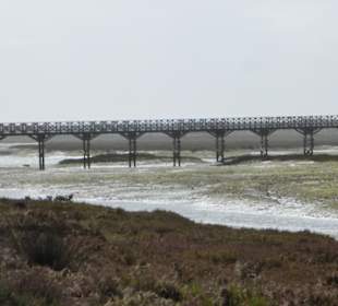 Lagune Ria Formosa: Brücke über die Lagune