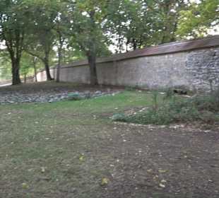 Klosterpark Altheim