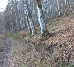 Schönbuch Schaichtal