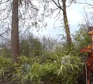 Land der Abenteuer - Dschungel X-pedition