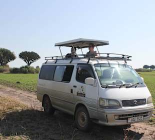 Auf Safari in Uganda mit Ellington Safaris 