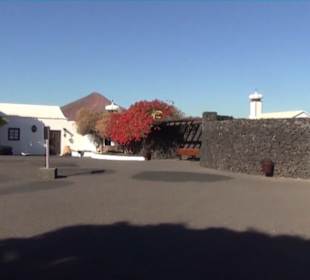 Fundacion Cesar Manrique