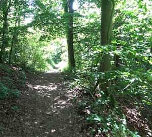 Wanderweg Sieben-Täler-Runde 